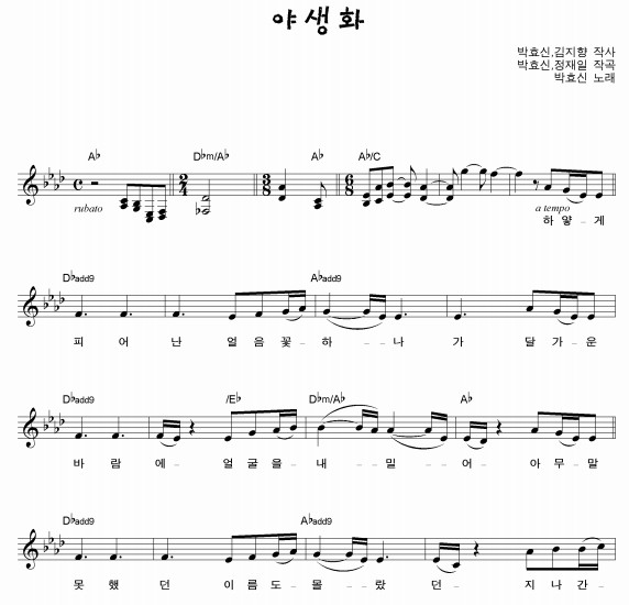 野生花乐谱 五线谱