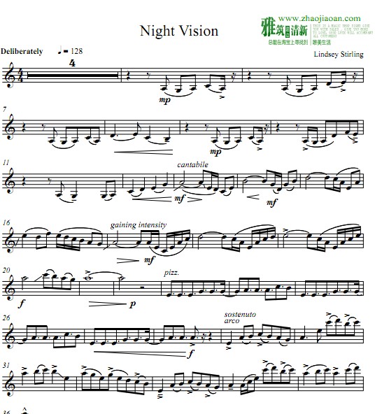 Lindsey Stirling - Night Vision小提琴谱