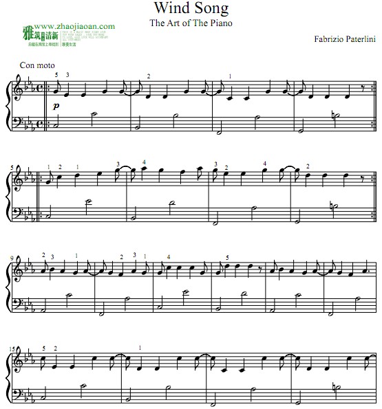Fabrizio Paterlini — Wind song钢琴谱