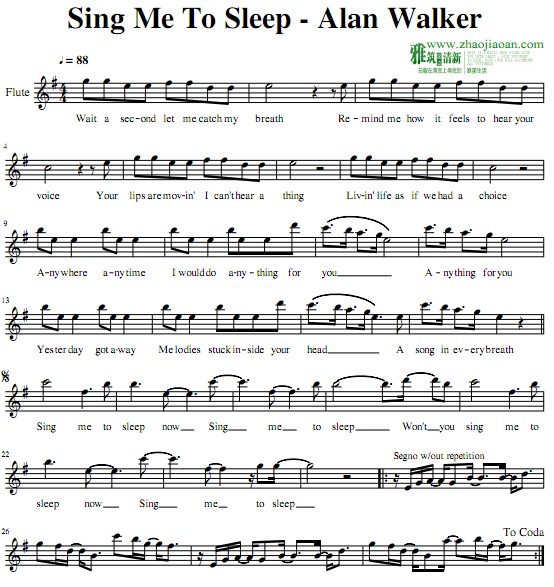 Alan Walker - Sing Me To Sleep长笛谱
