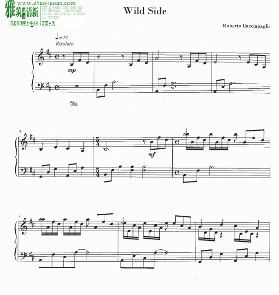 Roberto Cacciapaglia - Wild Sea钢琴谱