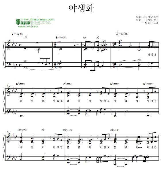 朴孝信 野生花钢琴谱