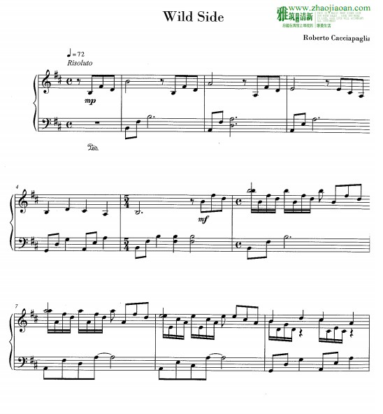 Roberto Cacciapaglia - Wild Side钢琴谱
