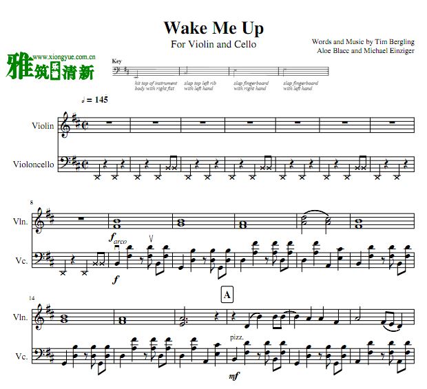 Wake Me Up小提琴大提琴弦乐二重奏谱 超好听版