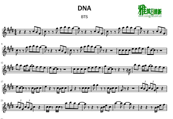BTS DNA小提琴谱