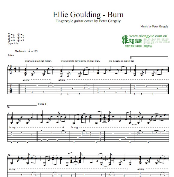 Peter Gergely版 Burn吉他谱