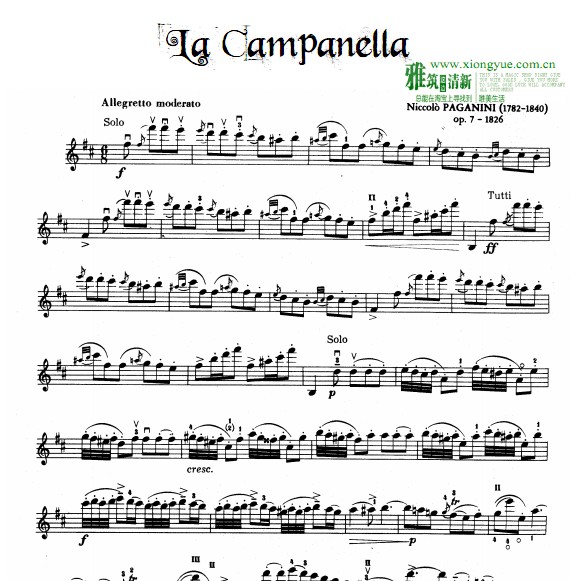David Garrett - la campanella小提琴谱
