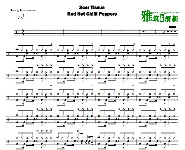 红辣椒乐队 Scar Tissue 鼓谱