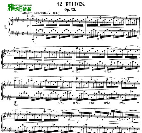 赫尔曼舒尔茨Herrmann Scholtz 肖邦 12首练习曲钢琴谱全集