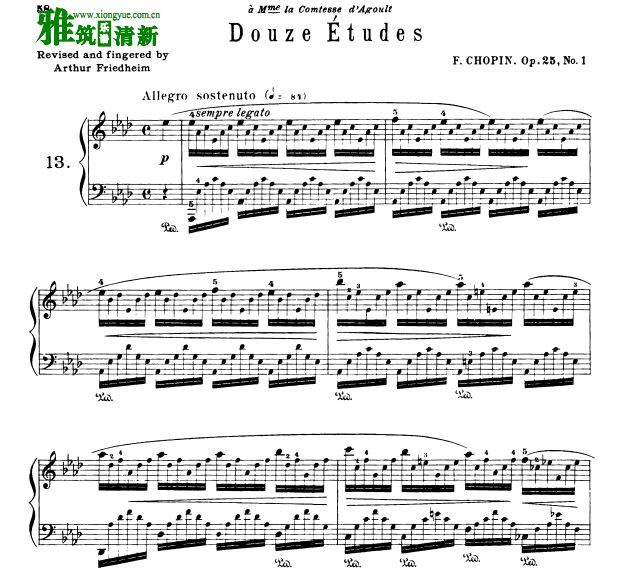 阿图尔·弗里德海姆版 Arthur Friedheim 肖邦12首练习曲钢琴谱