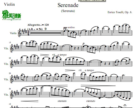 夜莺小夜曲小提琴 Toselli Serenade小提琴谱
