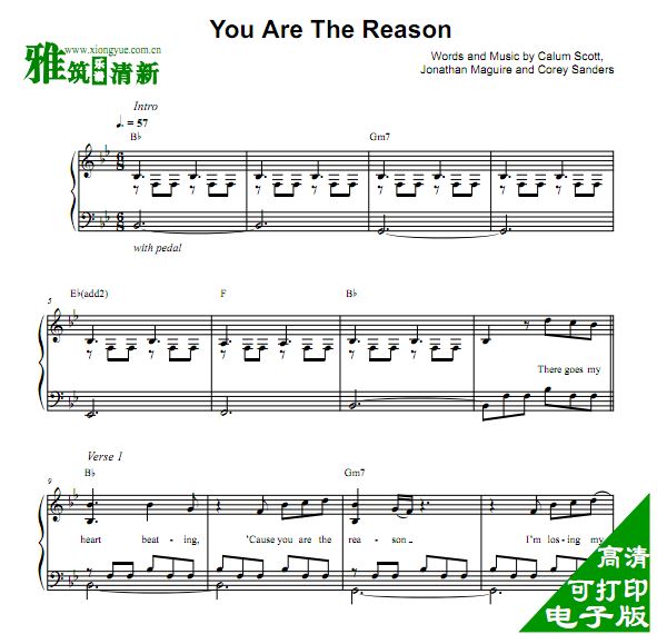 Calum Scott - You Are The Reason 钢琴独奏谱