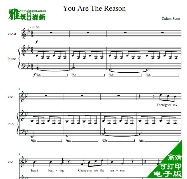 Calum Scott - You Are The Reason 伴奏钢琴谱