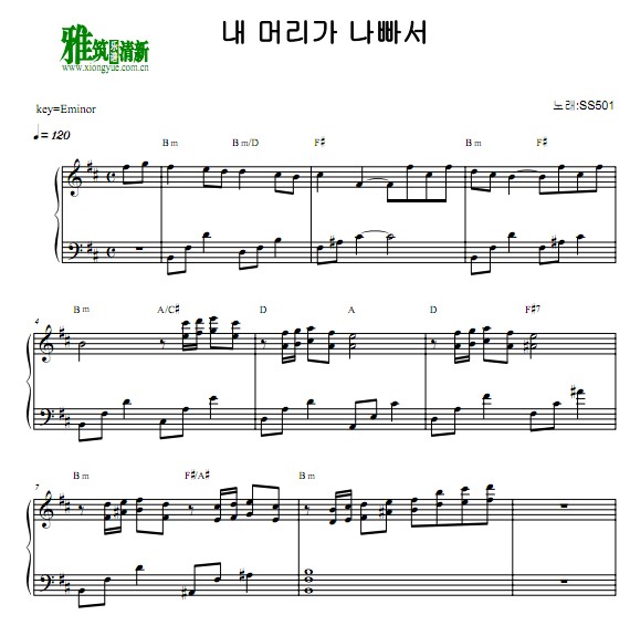 ss501- 因为太傻钢琴谱