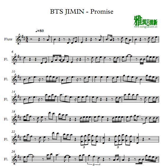 BTS JIMIN(朴智旻)-Promise约定长笛谱