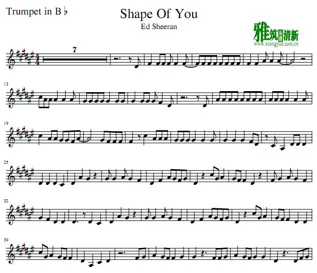 Shape Of You 小号谱