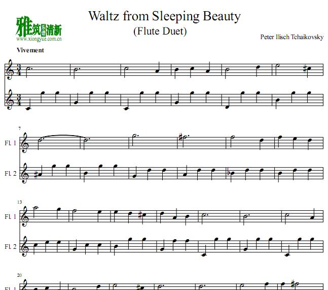 ˯ԲѶ Sleeping Beauty Waltz