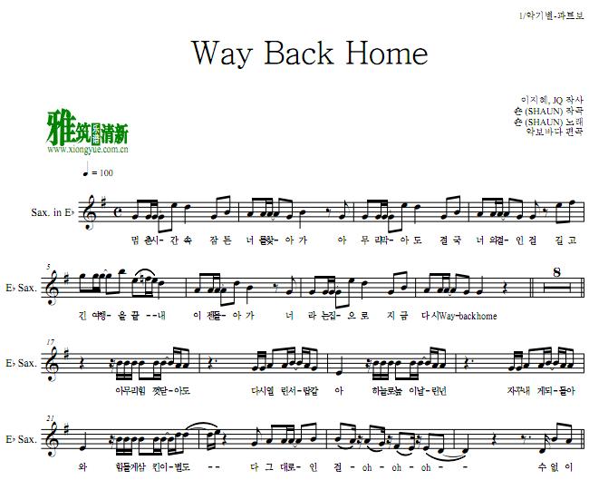 SHAUN -Way Back Home ˹