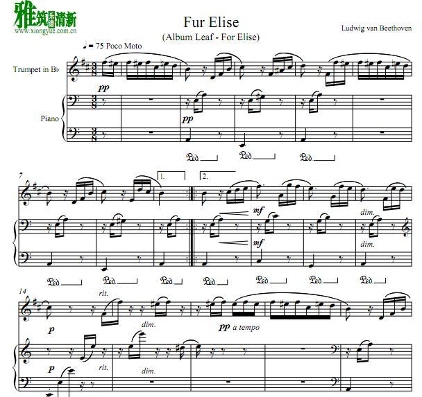 致爱丽丝fur elise 小号钢琴伴奏谱