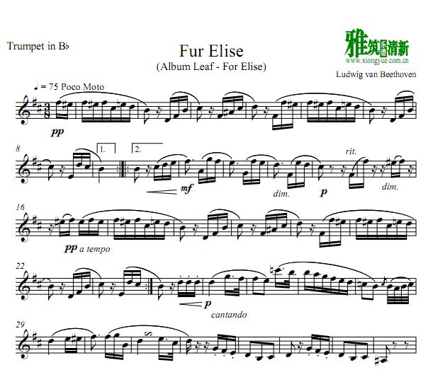 致爱丽丝fur elise 小号谱