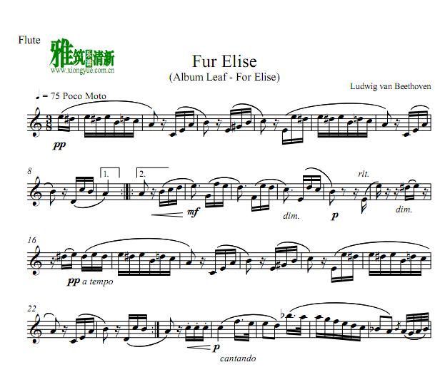 致爱丽丝fur elise 长笛谱