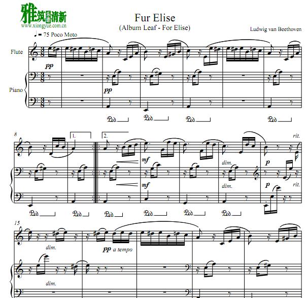 致爱丽丝fur elise 长笛钢琴伴奏谱