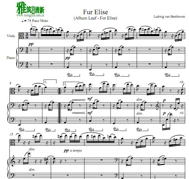fur elise 致爱丽丝中提琴谱钢琴伴奏谱