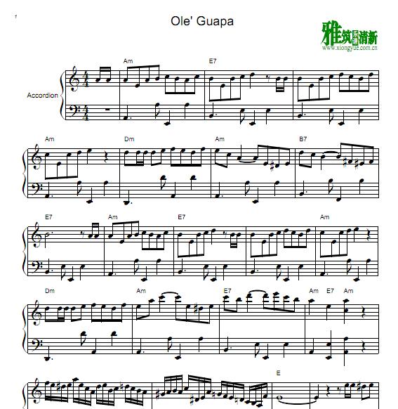 Ole' Guapa 手风琴