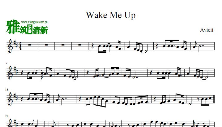 Avicii - Wake Me Up 小提琴谱
