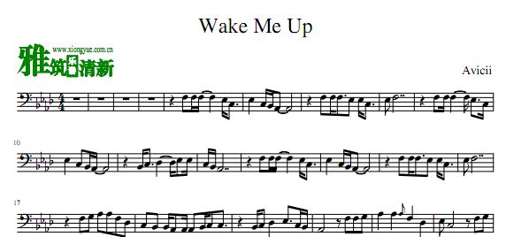 Avicii - Wake Me Up 大提琴谱