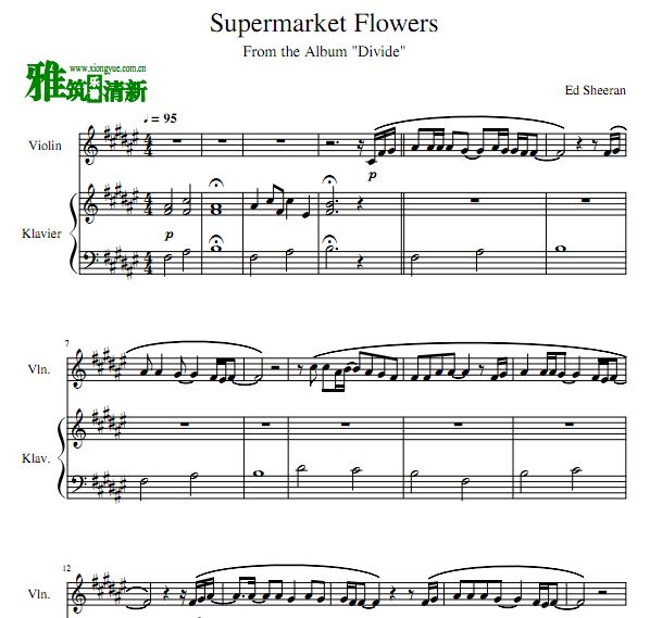 Supermarket FlowersСٸٺ