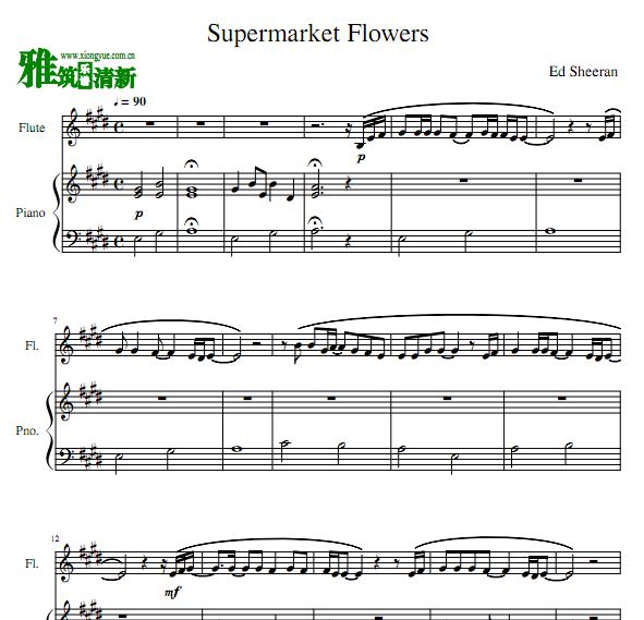 Supermarket Flowers 长笛钢琴二重奏谱