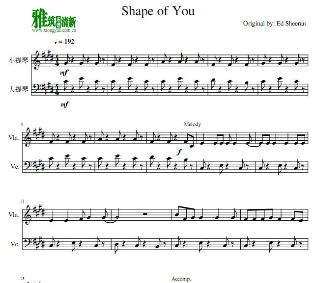 Shape of You小提琴大提琴谱