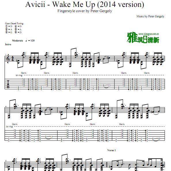 Peter Gergely - Wake Me Up 2014吉他谱