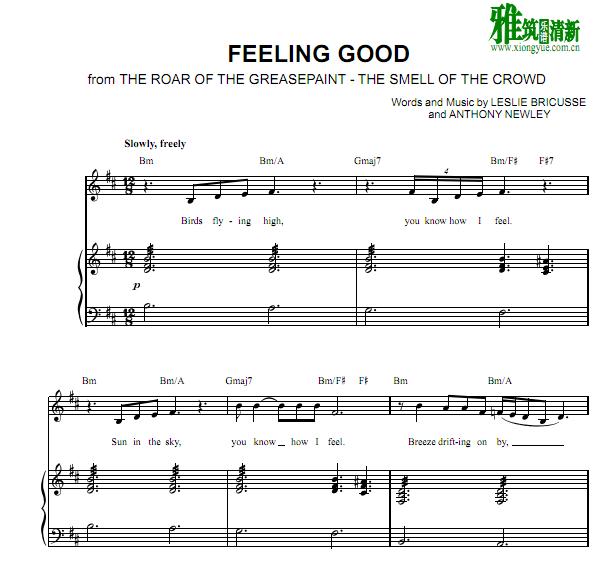 Feeling Good钢琴伴奏谱 D调