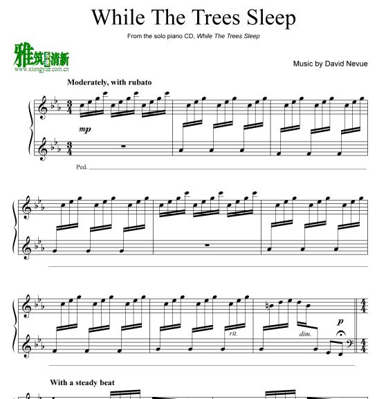 David Nevue - While The Trees Sleep钢琴谱