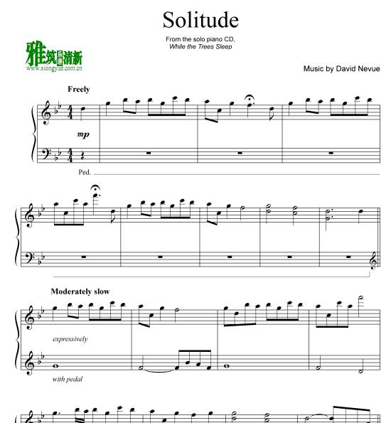 David Nevue - Solitude钢琴谱