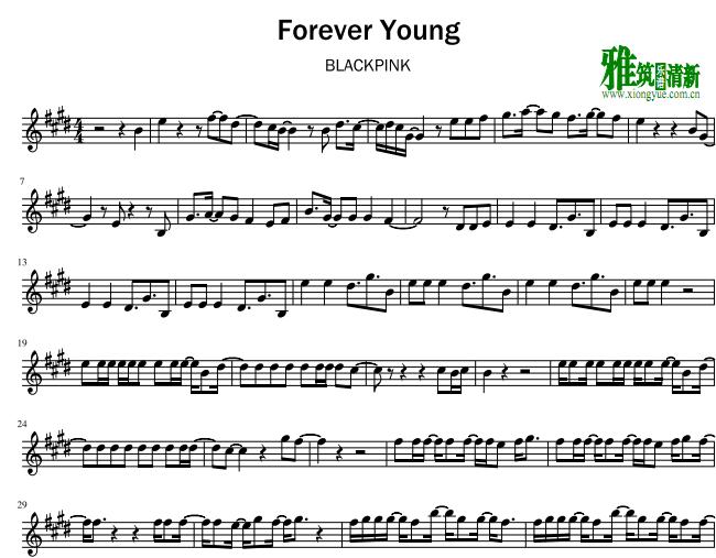 BLACKPINK - Forever Young 小提琴谱