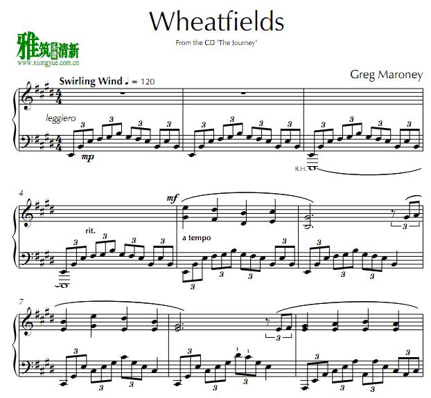 Greg Maroney - Wheatfields