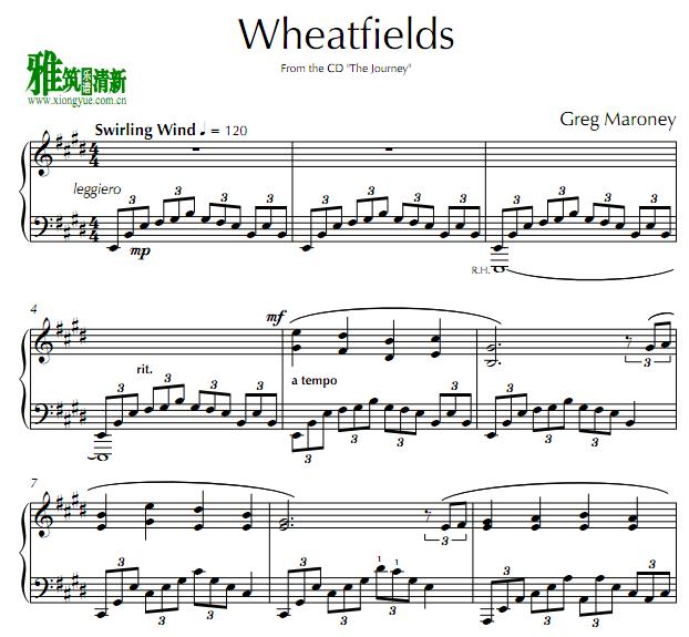 Greg Maroney - Wheatfields钢琴谱