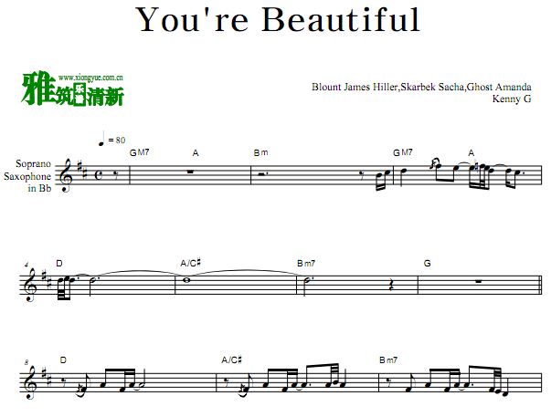 凯丽·金 Kenny G - You're Beautiful 降B萨克斯谱
