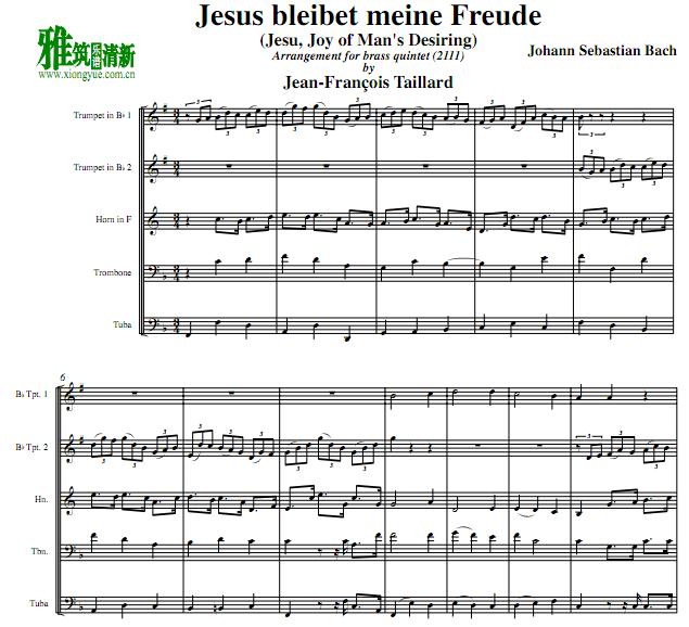 Jesu, Joy of Man's DesiringҮ,ϲͭ