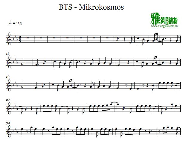 BTS - Mikrokosmos长笛谱