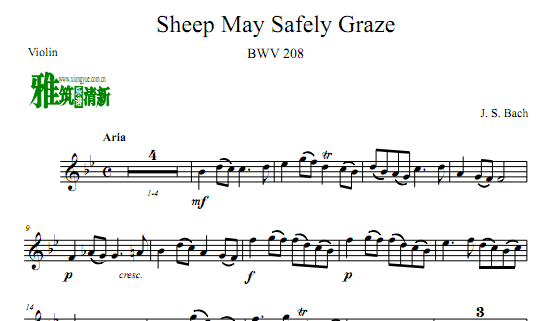 巴赫 羊儿在安静地吃草小提琴谱 Sheep May Safely Graze BWV 208 小提琴谱