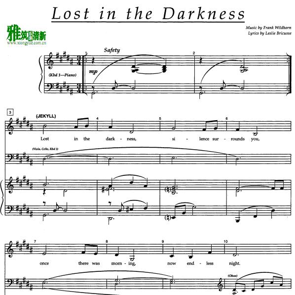 ҽ - lost in the darkness ׸ٰ