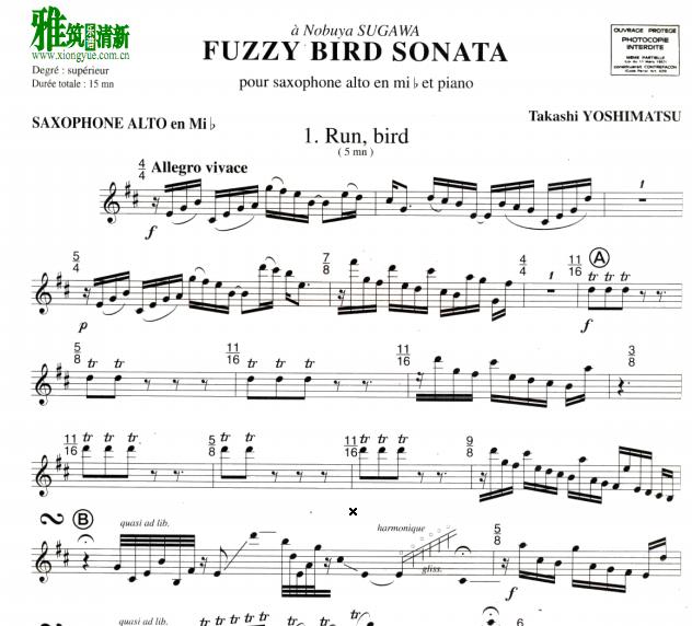 Takashi Yoshimatsu - Fuzzy Bird Sonata˹