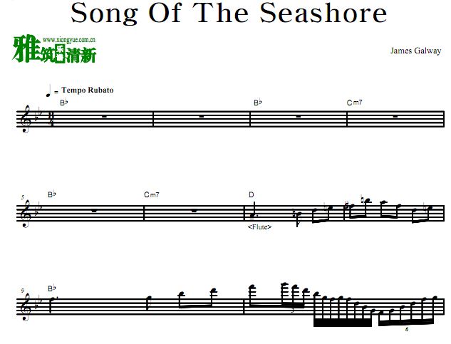 高威 James Galway- Song Of The Seashore长笛谱