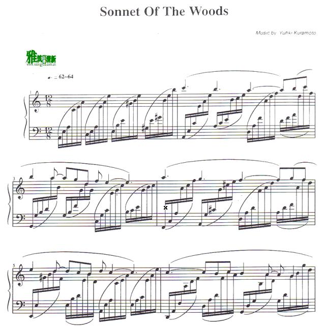 Yuhki Kuramoto 仓本裕基 - Sonnet of the Woods钢琴谱