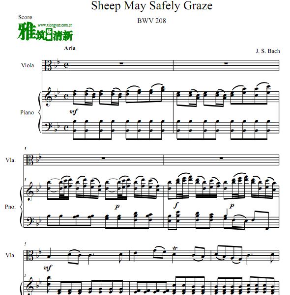 Sheep May Safely Graze BWV 208 巴赫 羊儿在安静地吃草中提琴钢琴二重奏谱