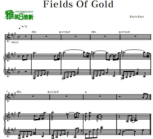 kevin kern - fields of gold SOLO+ 